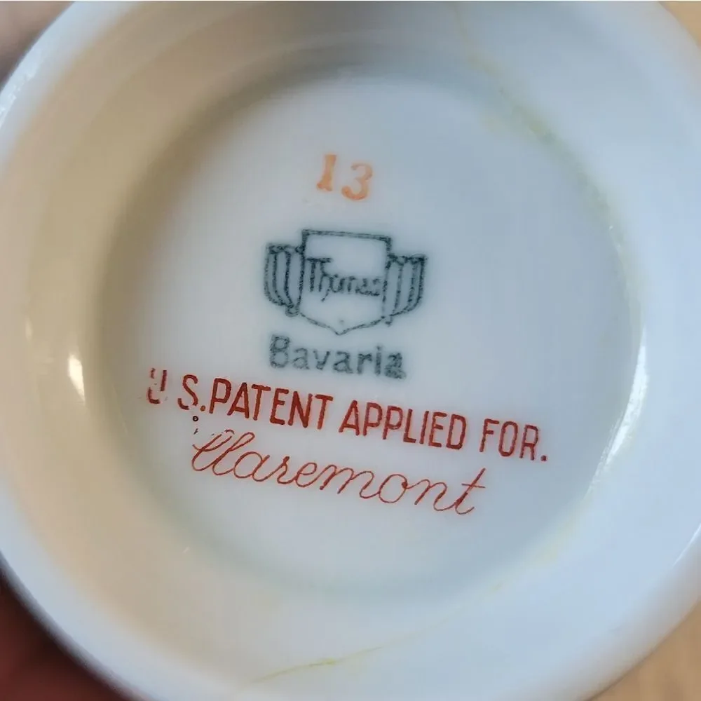 Vintage Thomas Bavaria teacup and saucer